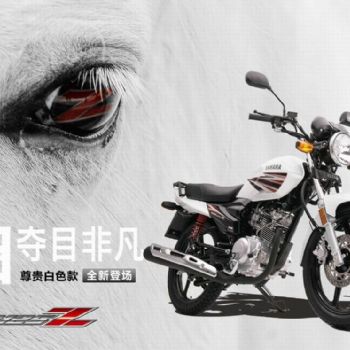 ����-������ �����Z2013 YB125Z��